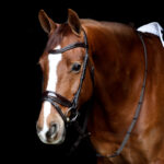 Anatomical Snaffle Bridle