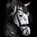 Vortex Piaffe Dressage Bridle