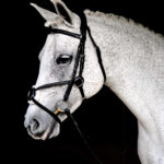 Vortex Onyx Bridle