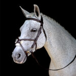 Vortex Burghley Grackle Bridle