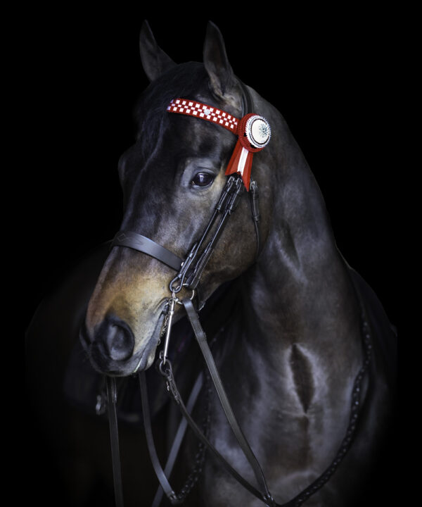 Vortex Finesse Double Bridle