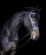 Vortex Finesse Double Bridle - Image 2
