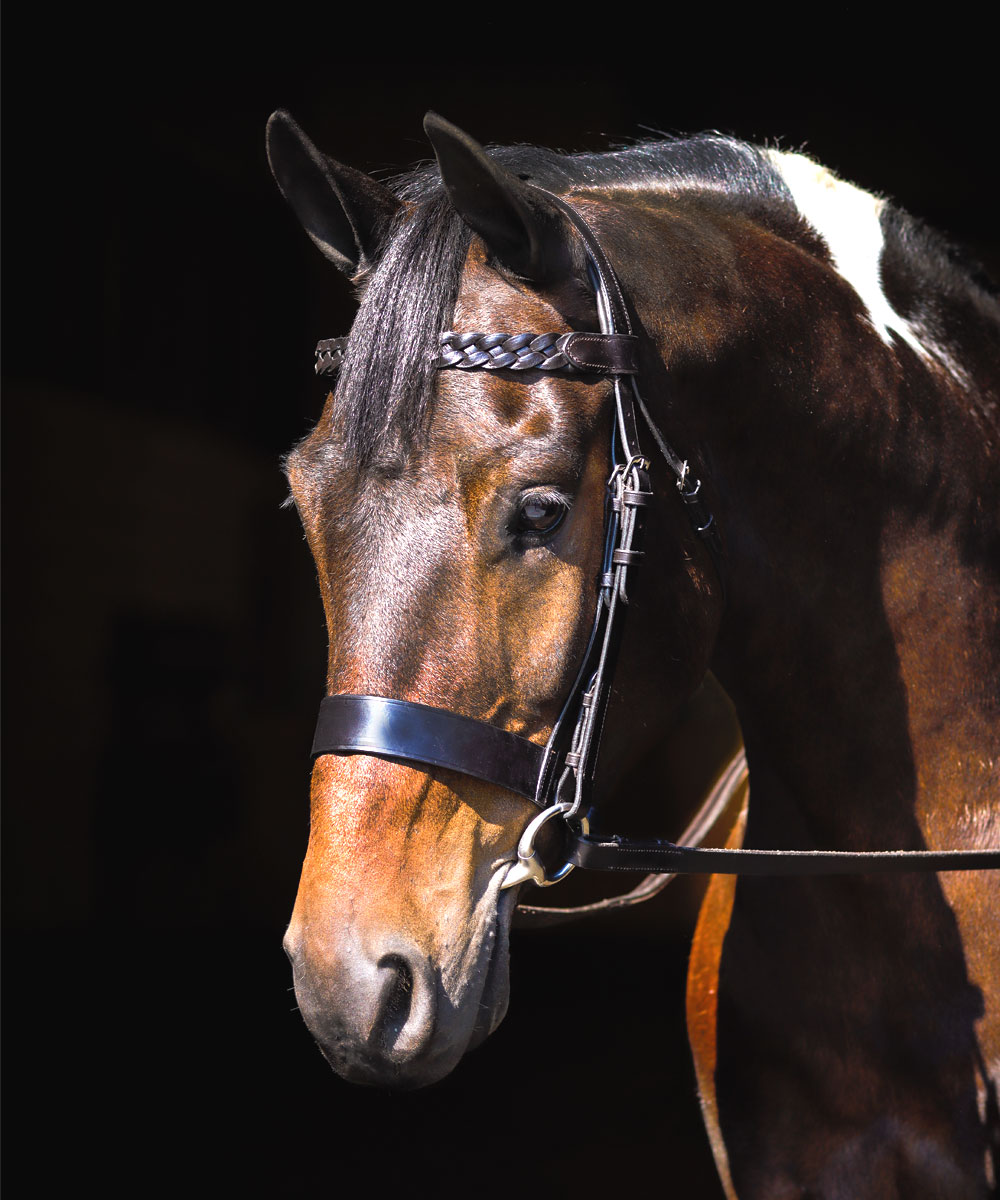 Vortex Huntsman Bridle