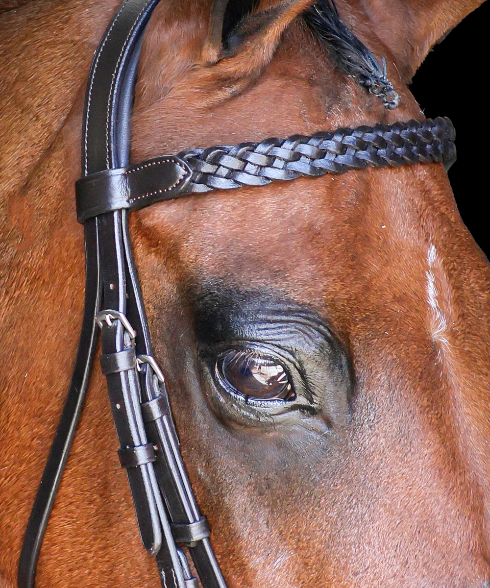 Vortex Plaited Leather Browband