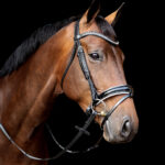 Vortex Glamour Bridle Patent Leather