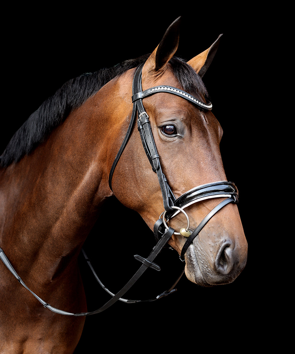 Vortex Glamour Bridle Patent Leather