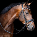Vortex Glamour Bridle