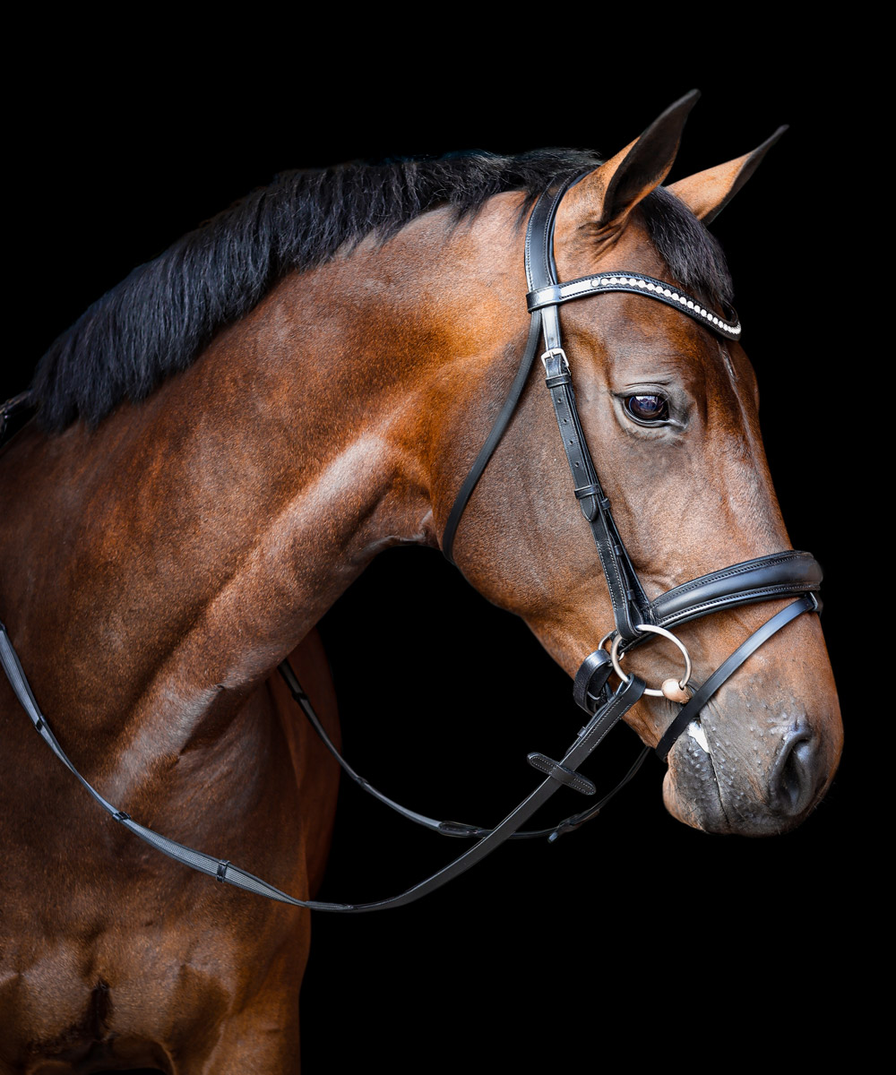 Vortex Glamour Bridle