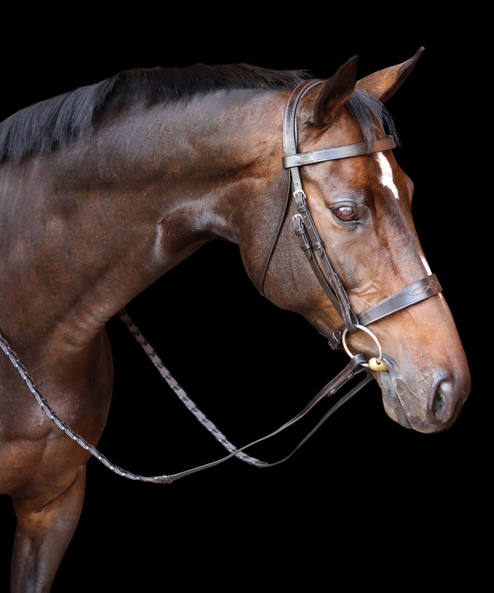 Vortex Finesse Snaffle Bridle