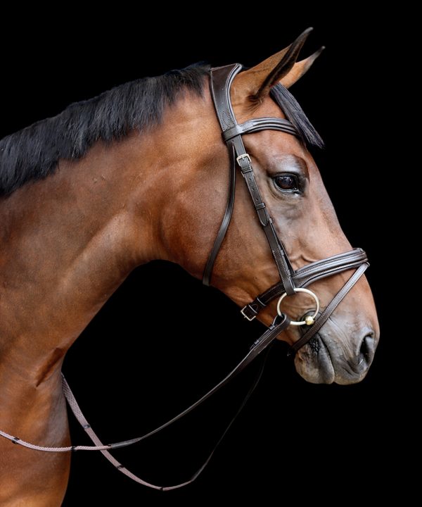 Vortex Badminton Bridle