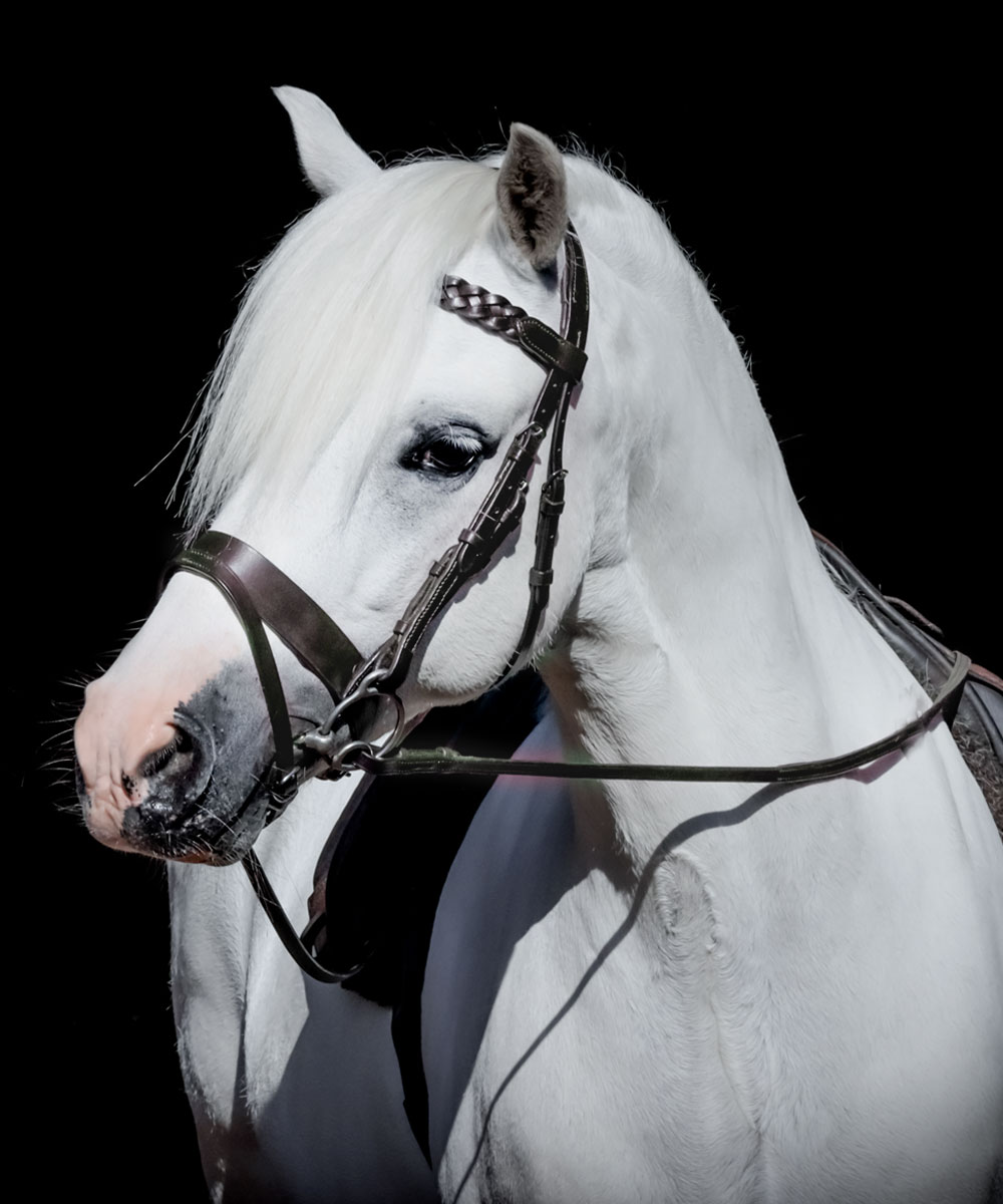 Vortex Field Master Bridle