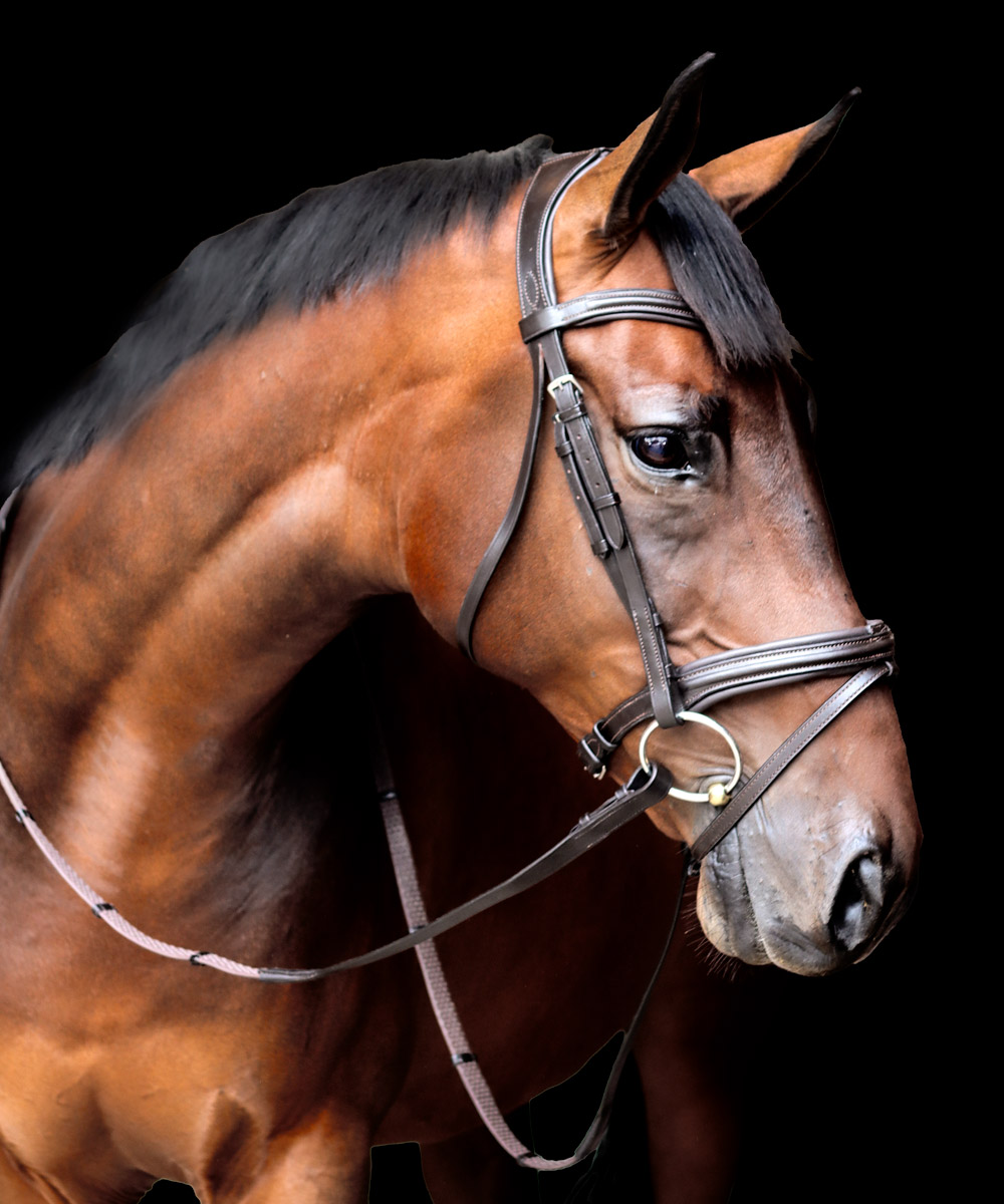 Vortex Badminton Bridle