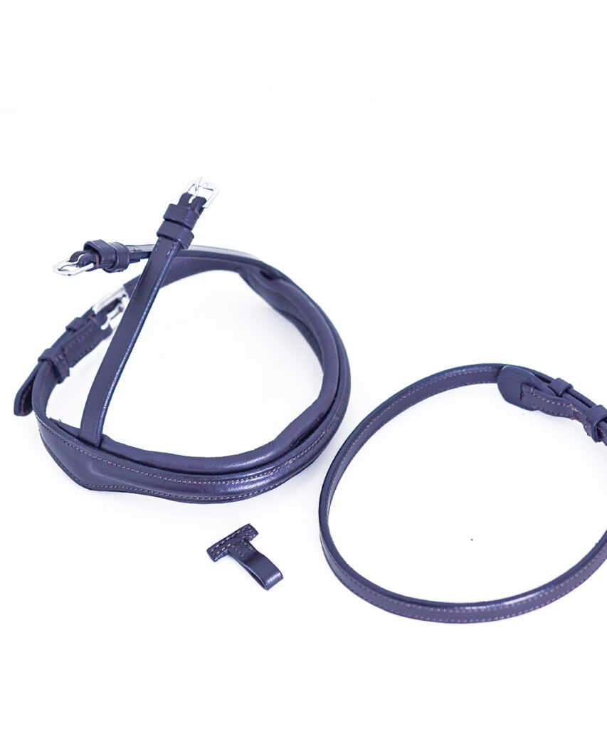 Removable Flash Noseband