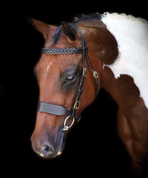 Vortex in hand hunter bridle