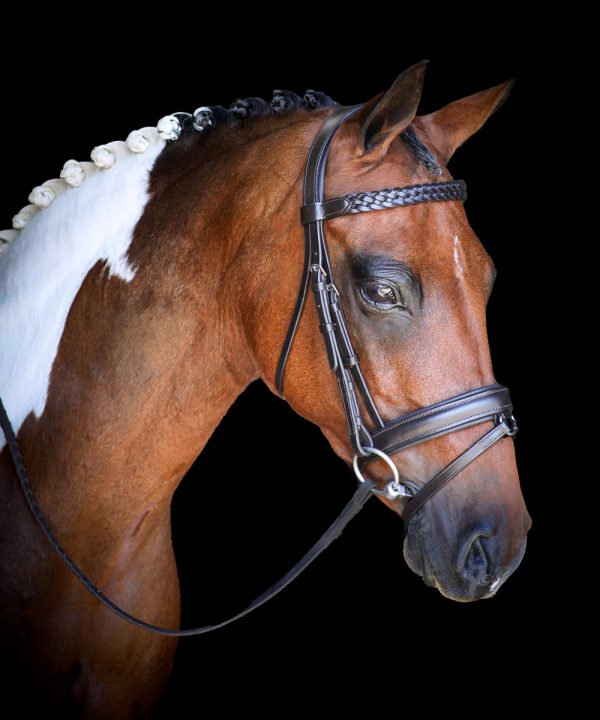 Vortex Chatsworth Bridle