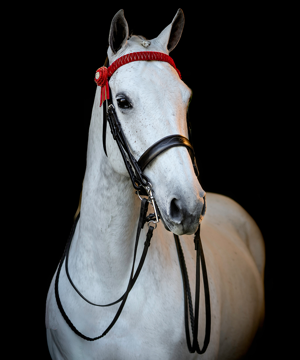 Vortex Danbury Double Bridle