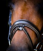 Vortex Chatsworth Noseband