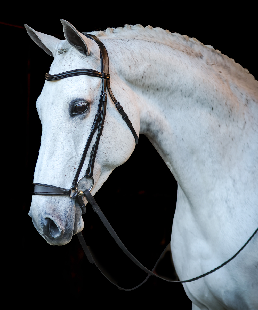 FSS Comfort Padded Headpiece – Baroque Hanoverian Drop Noseband Bridle – NEW (Choose Color)