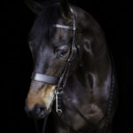 Vortex Beaufort Hunter Double Bridle