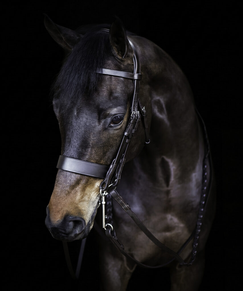 Vortex Beaufort Hunter Double Bridle