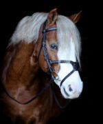 Vortex Ultimate Comfort Grackle Bridle