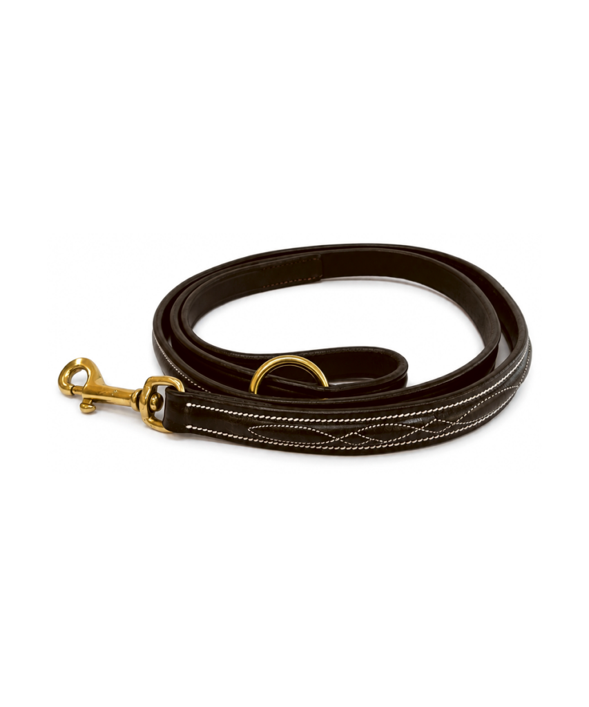 Vortex Fancy Stitch Leather Dog Lead